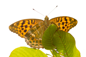 © Oliver Smart © Oliver Smart